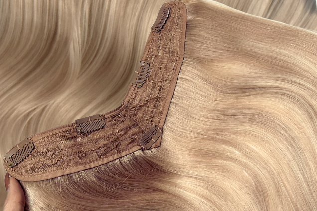 V-CLIPS