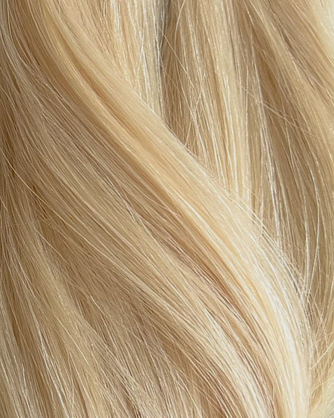 LIGHT BLONDE 11N