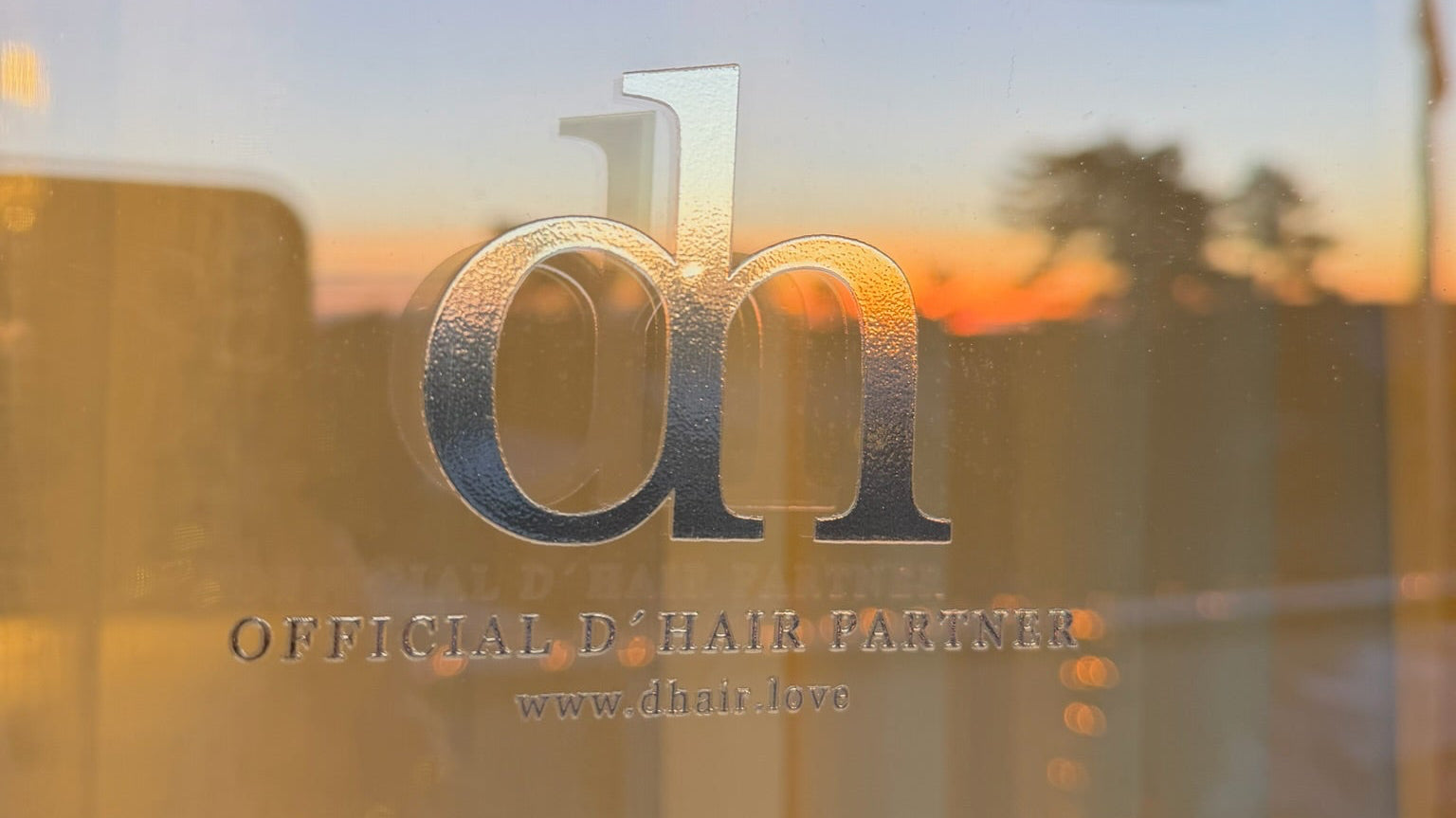 dh WINDOW STICKER