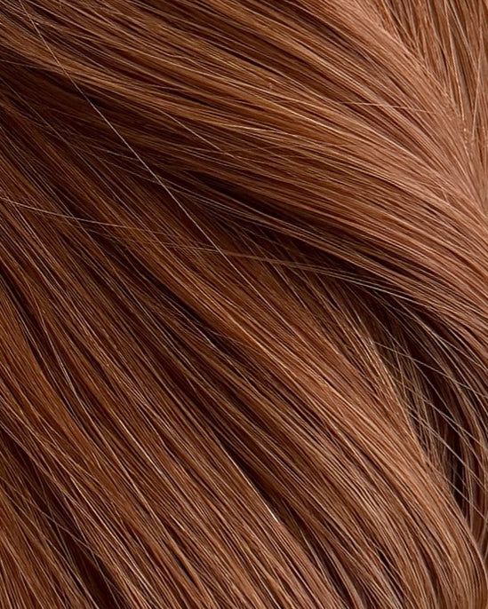 CHESTNUT 7GC