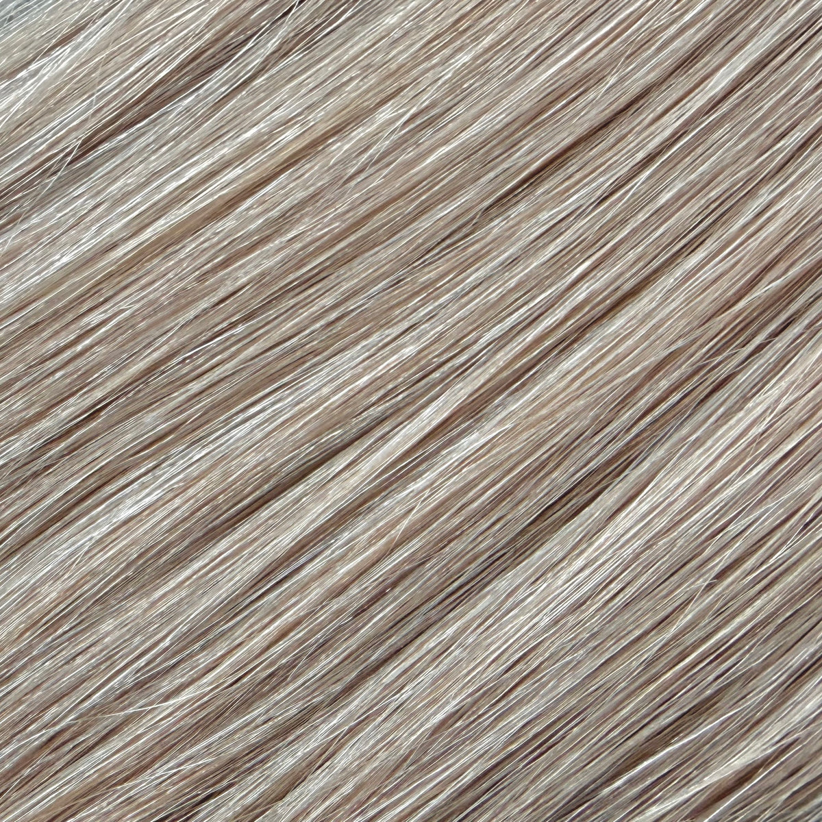 BEIGE BLONDE 9B