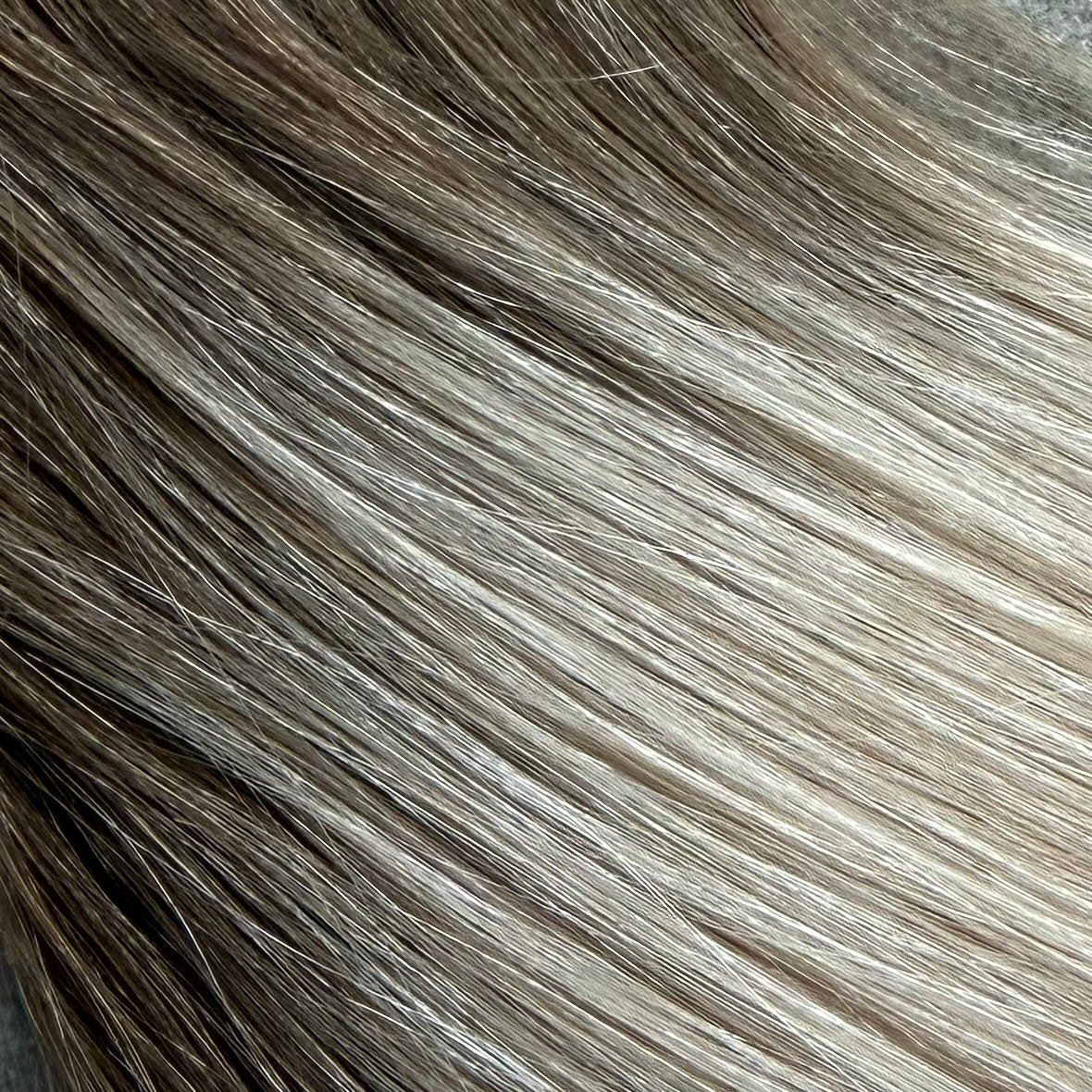 ROOTED PLATINUM ASH 6A|12A